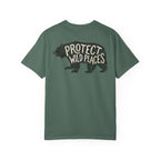 Protect Wild Places - Bear