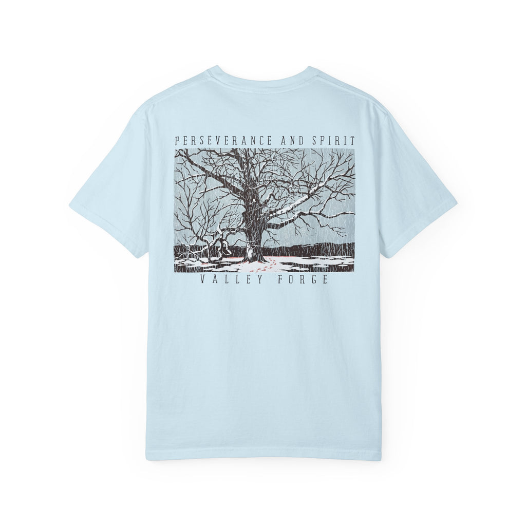 Perseverance and Spirit - Valley Forge