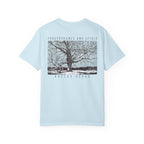 Perseverance and Spirit - Valley Forge