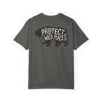 Protect Wild Places - Bear