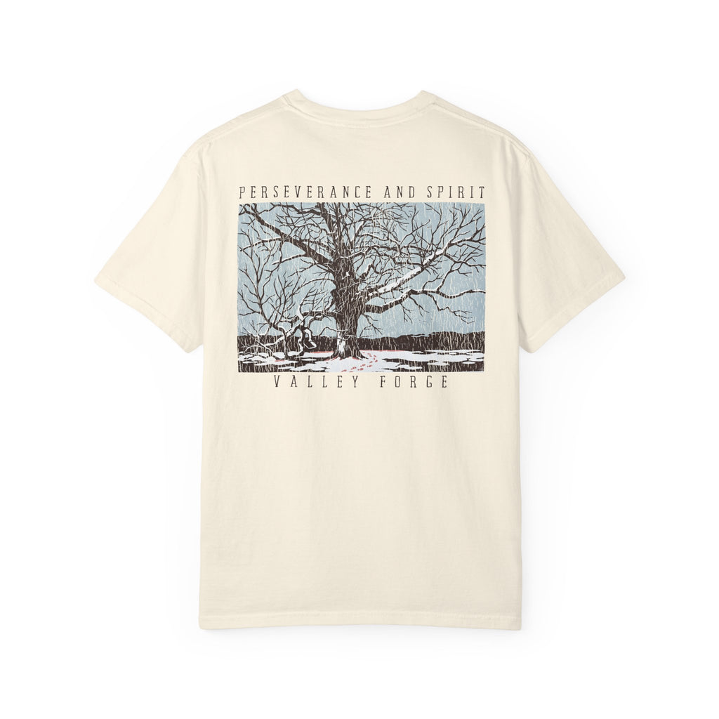 Perseverance and Spirit - Valley Forge