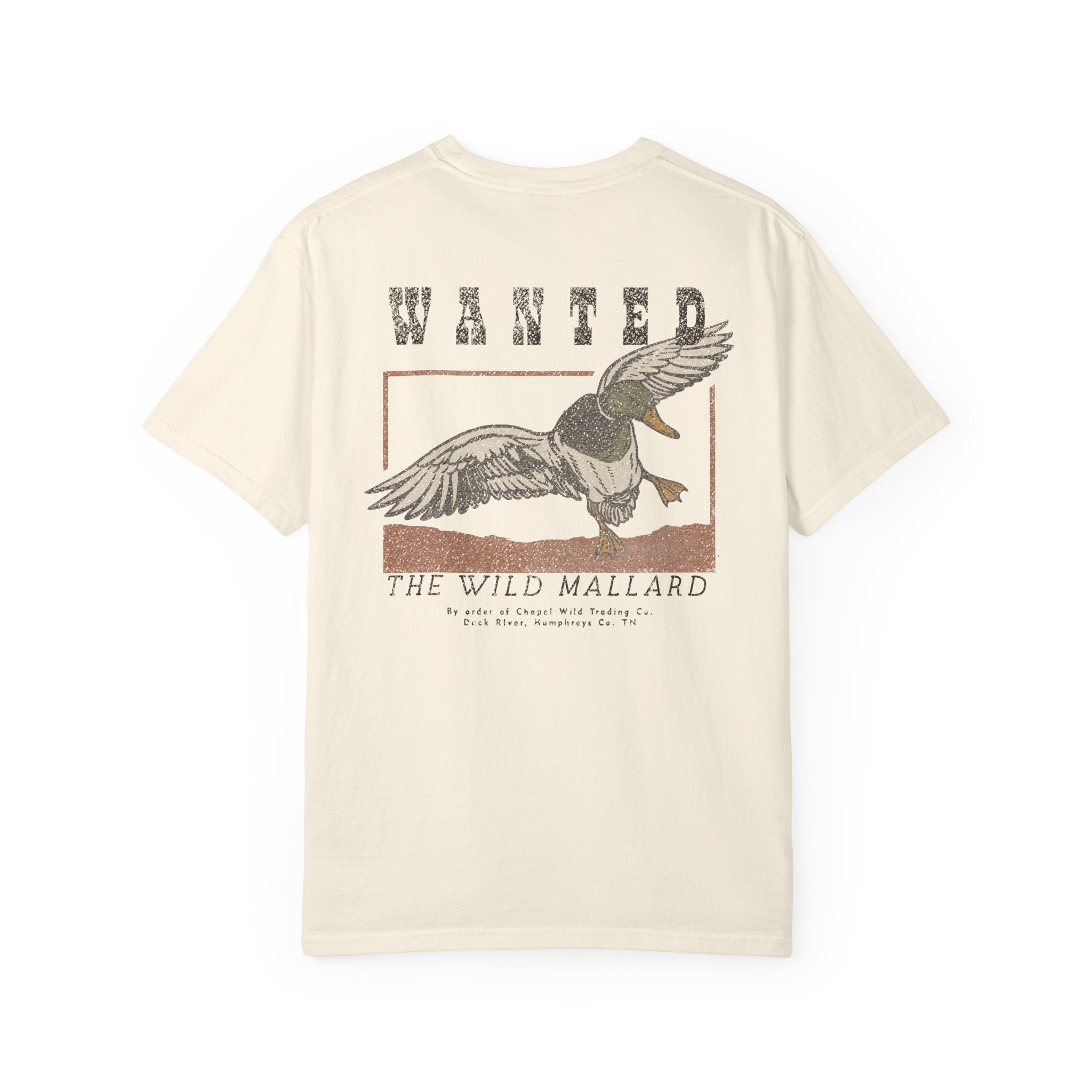 Wanted Drake Mallard