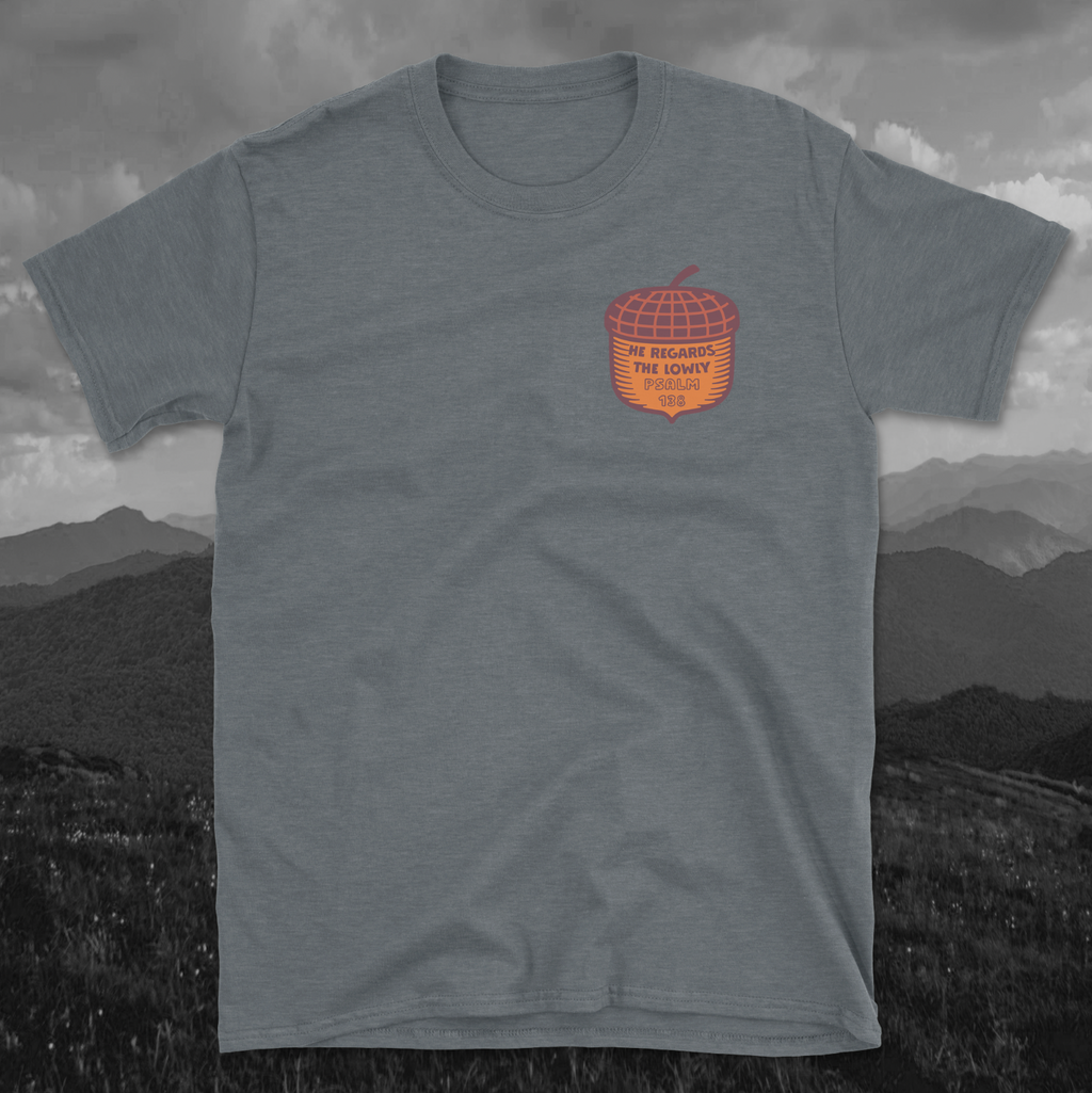 Psalm 138 He Regards the Lowly