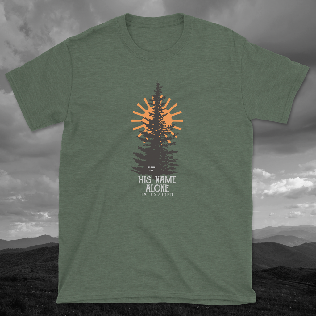 Psalm 148 - His Name Alone