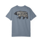 Protect Wild Places - Bear