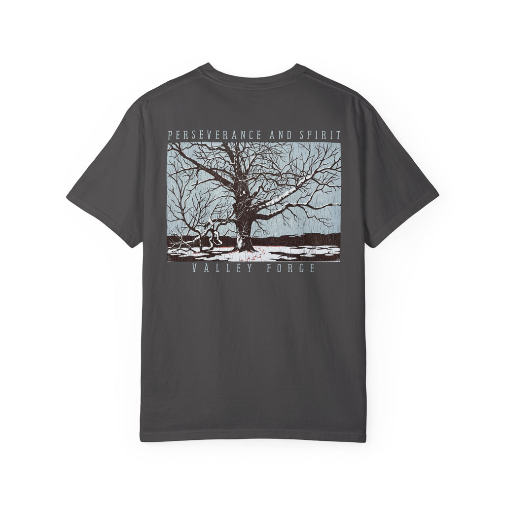 Perseverance and Spirit - Valley Forge