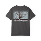 Perseverance and Spirit - Valley Forge