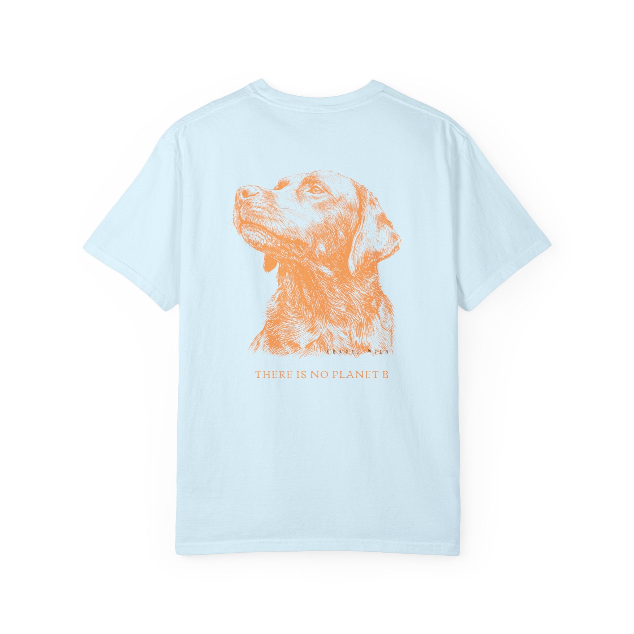 No Planet B Lab