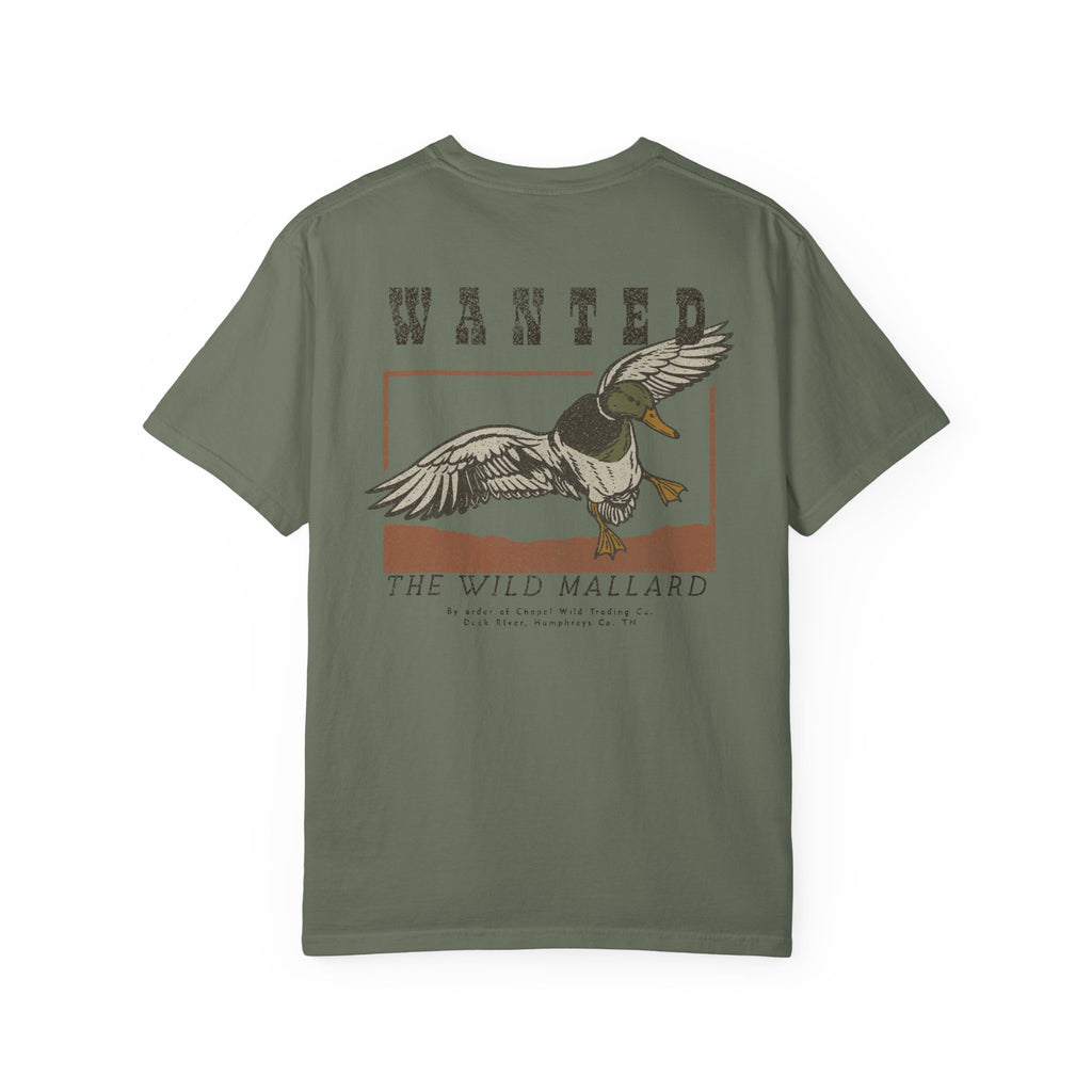 Wanted Drake Mallard