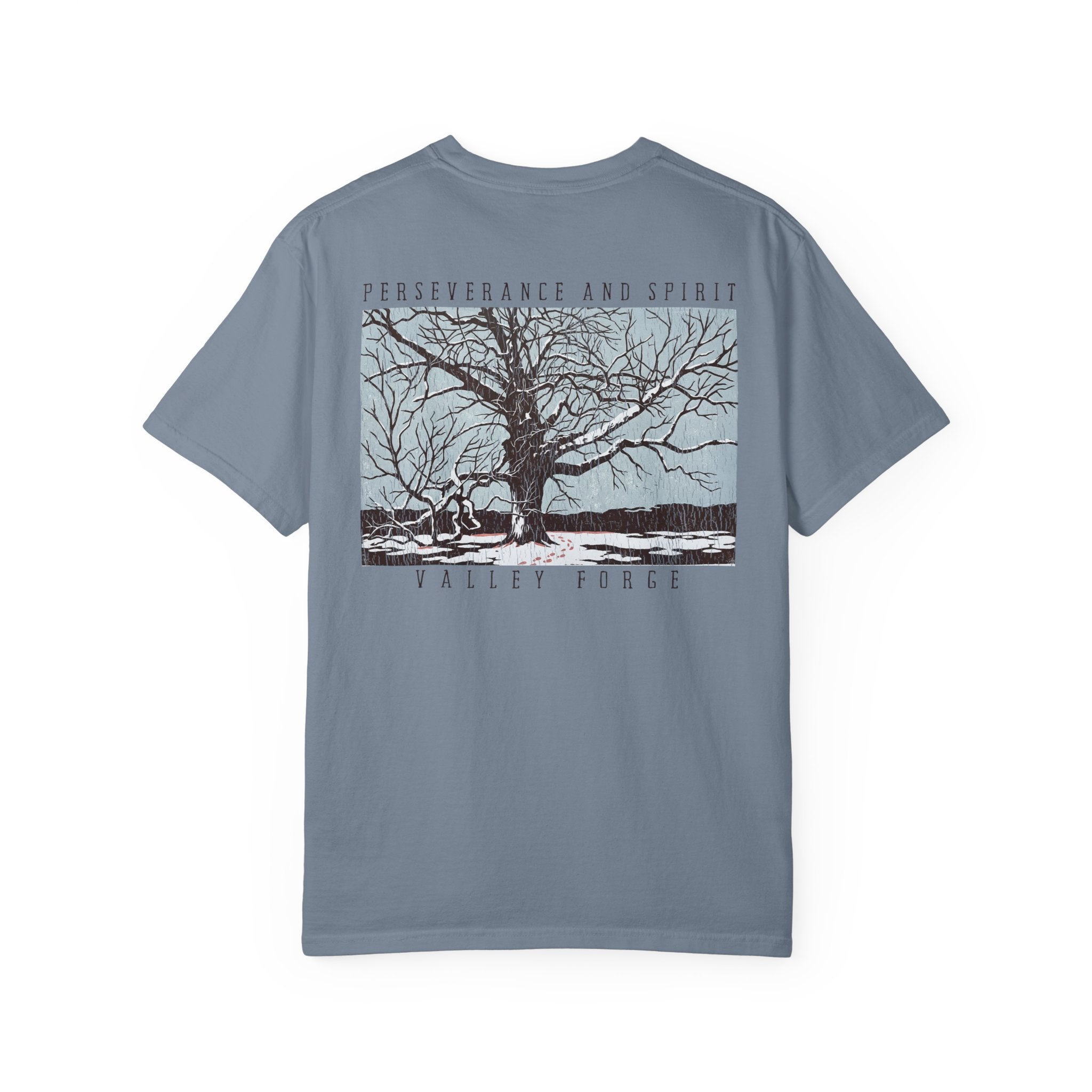 Perseverance and Spirit - Valley Forge