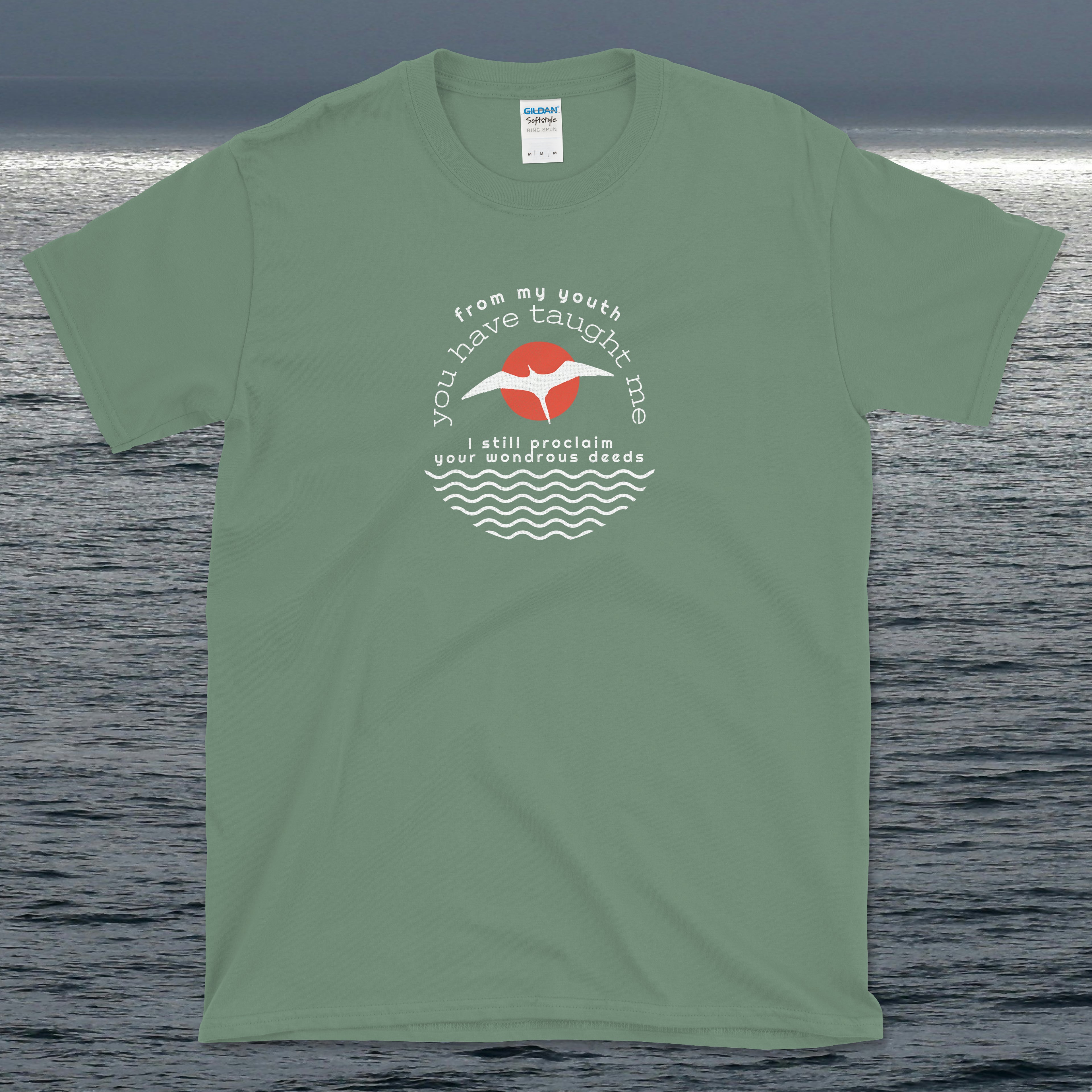 Psalm 71 From My Youth