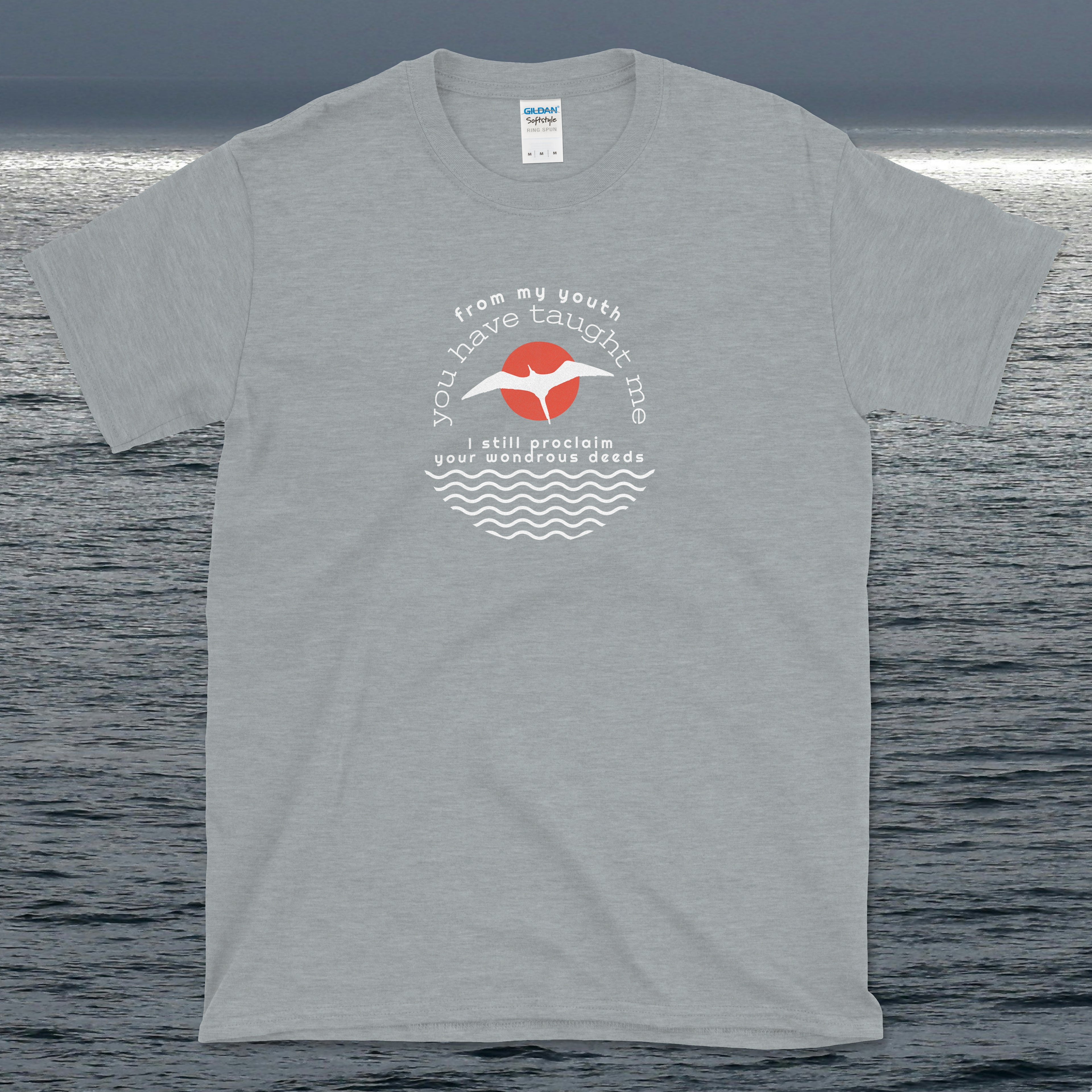 Psalm 71 From My Youth