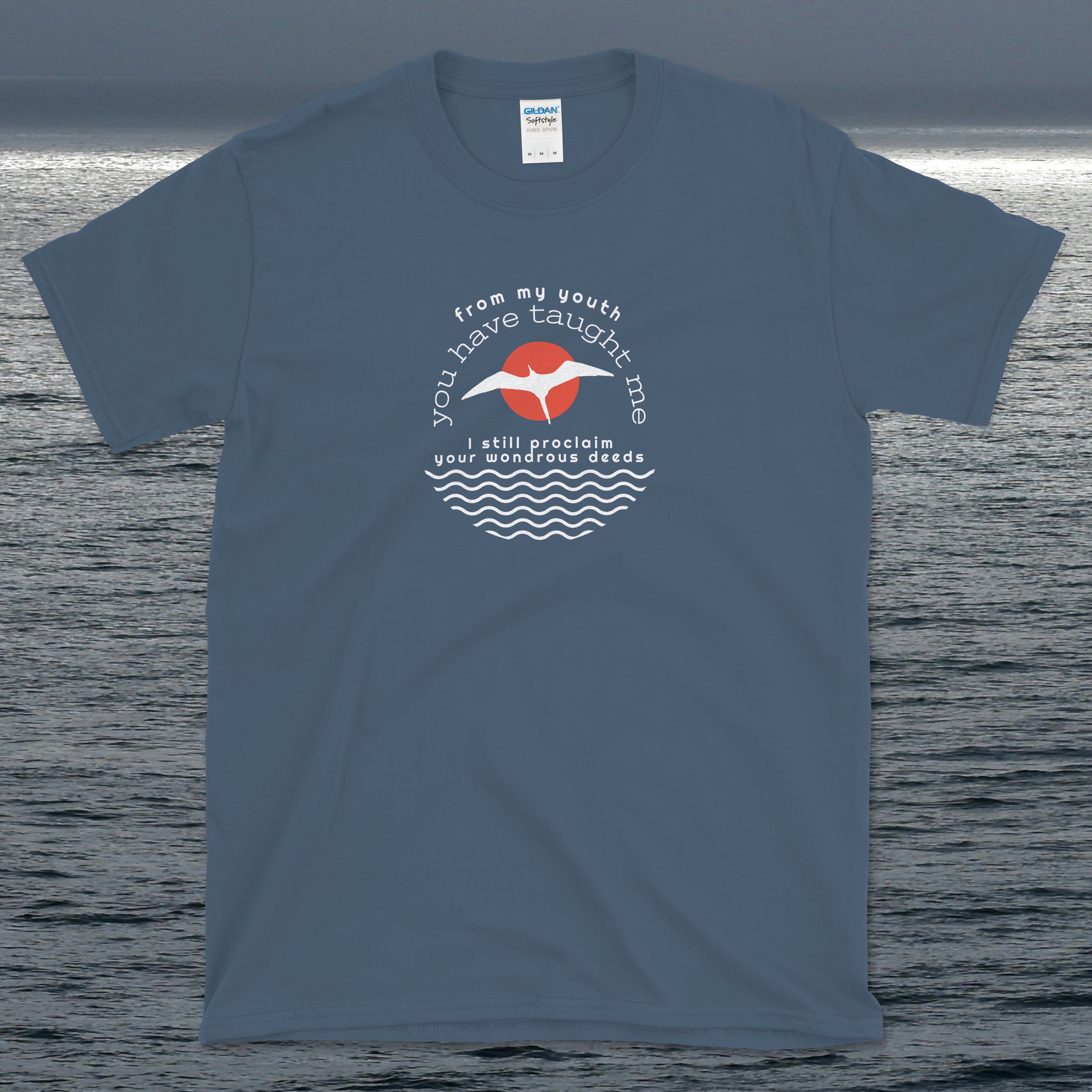 Psalm 71 From My Youth