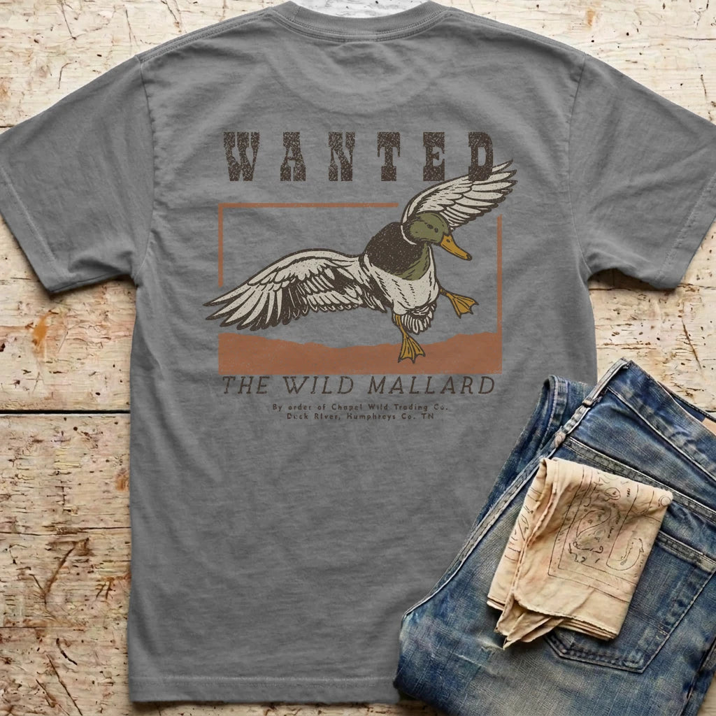 Wanted Drake Mallard