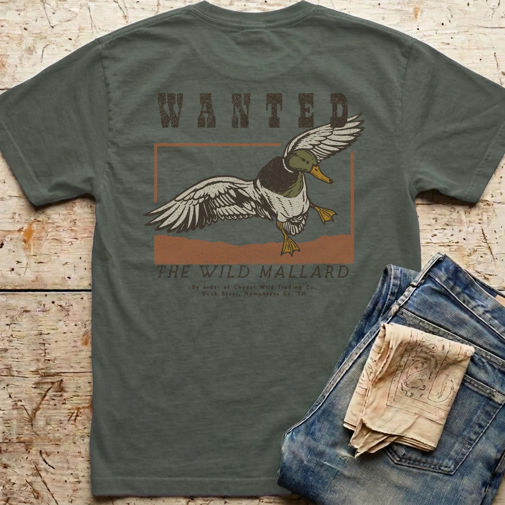 Wanted Drake Mallard